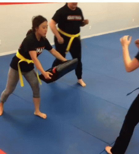 Krav Maga nedir